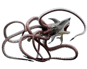 Sharktopus1