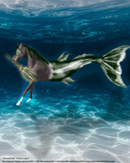 R2T3-Puzzled Starlight