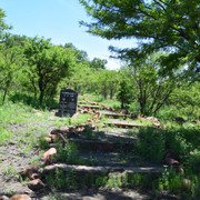 DSC-0382
