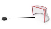 puck arrow net