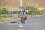 IMG-2782