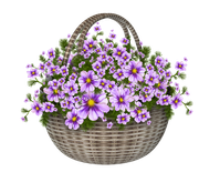 GlamourGirl_MM_Element (111)