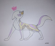 135211671_686730215371229_8567