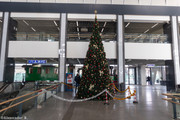 IMG-4491