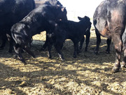 21A75BB2-1A4D-417D-BE3E-AAECB94F8136