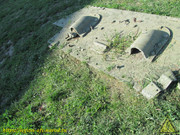 IMG-1705