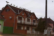 Kép