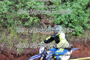 IMG-6462