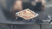 P-20210207-110232-p.jpg