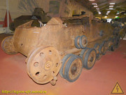 DSCN6561