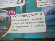 https://i.postimg.cc/8FdWjvGS/100-8127.jpg