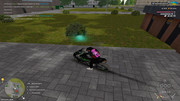 IMG-6956