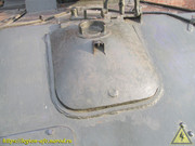 IMG-0024