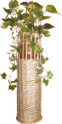 DBJ-ELEM-7