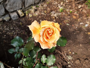 IMG-20190524-091925358