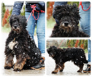 Be-Funky-collage-18.jpg&key=b84903396008