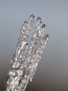 DSC01816-crop