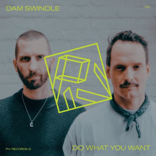 Dam Swindle - Do What You Want (2026) MP3