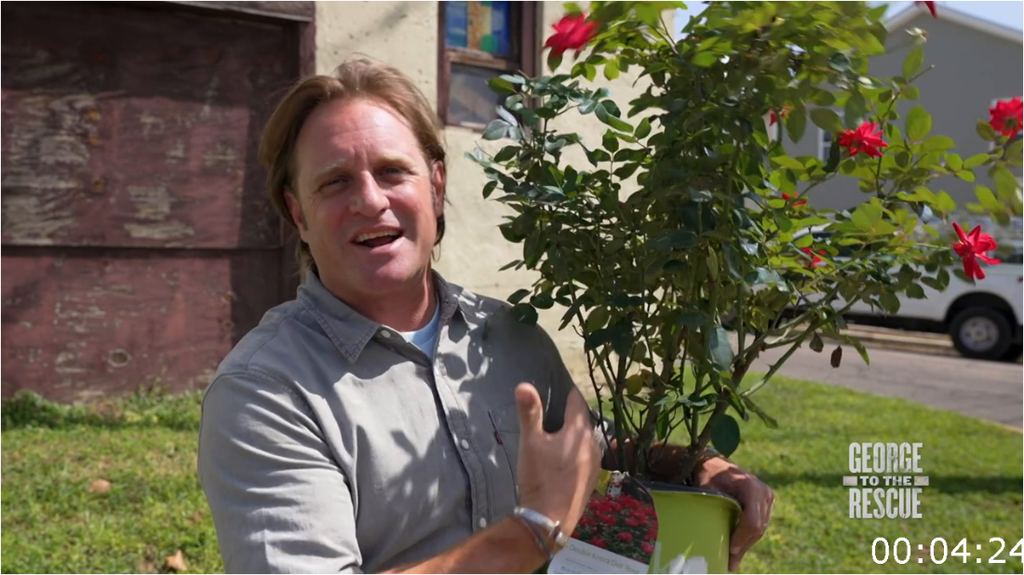 [Image: bu0m5u66txyz.png]