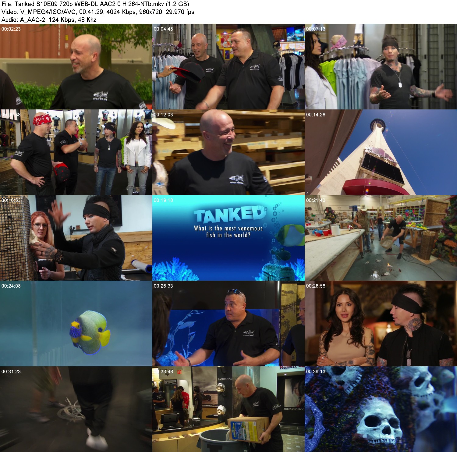 [Image: ricjg680bpn2.jpg]