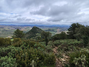 IMG-20260124-123513206-HDR