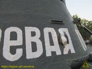 IMG-5576