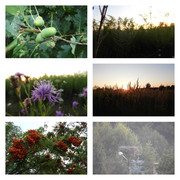 absolutnybrakbociana