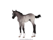 DDC9D033-5E61-4500-99EB-52A83EA4B07C