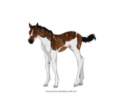 0D0531D2-CA19-4AC9-A257-664B86677608