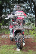 IMG-0035