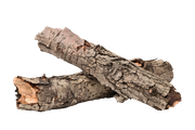 BC-ATaste-Of-Winter-El-40