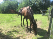 5A5511DF-A7CF-41BF-89FE-A8A8F2E95C5B