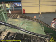 IMG-6982