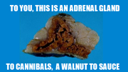CannibalsAdrenal