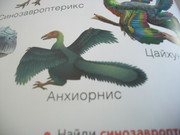 https://i.postimg.cc/8JPhhmBs/100-8630.jpg