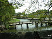 photo 23 2025 12 24 16 22 41