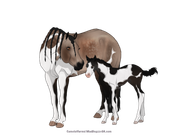 C5FF265D-8091-42C3-A057-F1A0082A6F99