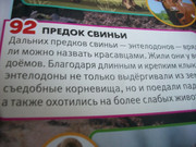 100-7452