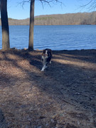 D8256DB6-9CE5-465C-9C5D-8C9276B466B6