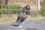 IMG-2598