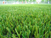 Commercial-solutions-astro-turf-Mesa-AZ