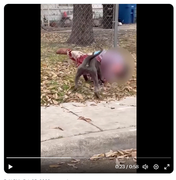 Screenshot Capture - 2023-09-16 - 02-46-40