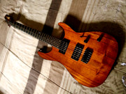 ESP-LTD M1000H-Koa