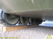 IMG-3548