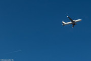 IMG-5385