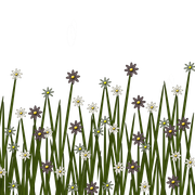 TWFlowerbee-Flowergrass2