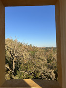 IMG-6352