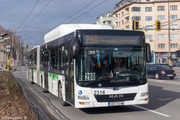 IMG-5061