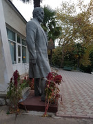 12 Сеченов чтоб зря не стоял