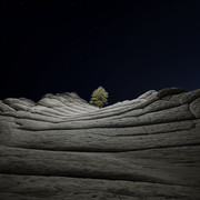 D0DB9763-3091-4742-B533-99E7F87283B3